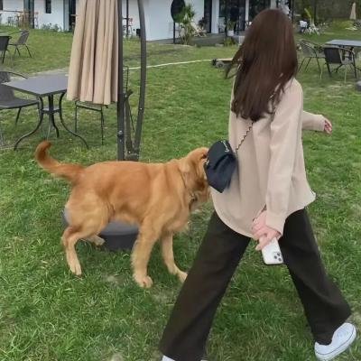 我在皇宫当巨巨 动态漫